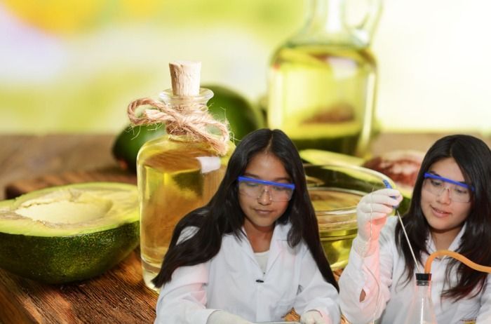 INCREÍBLE,  jóvenes universitarios peruanos  descubren que la palta o aguacate contiene aceite natural