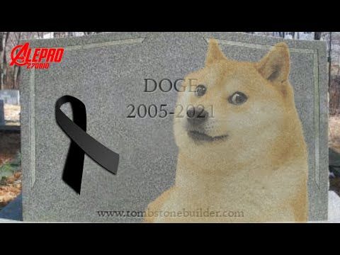 Doge Fallece