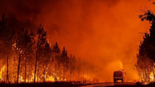 Incendio forestal en Comodoro Rivadavia