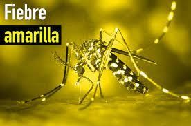 Alerta Epidemiológica Panamá: Fiebre amarilla - 31 de marzo de 2023
