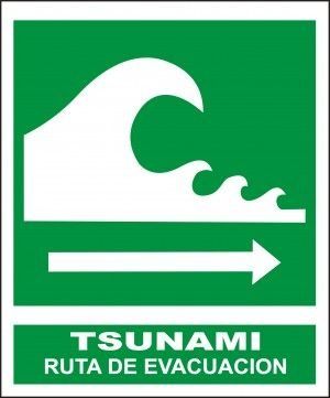 Alerta de tsunami en villa sur