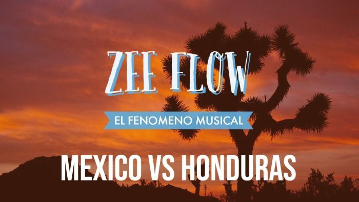 Zee flow live in mexico