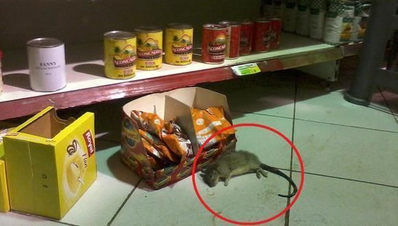 Caos en un supermercado con una rata.