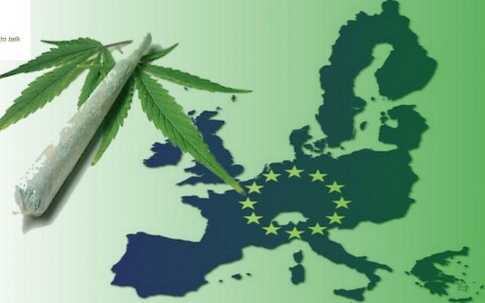 La UE plantea legalizar el cultivo de marihuana