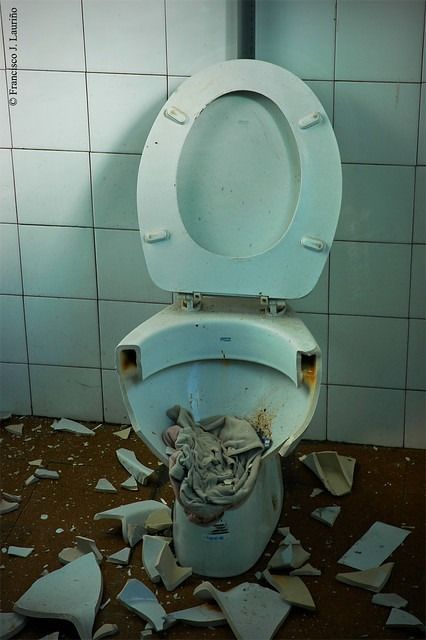 Muere el fenómeno viral Skibidi Toilet