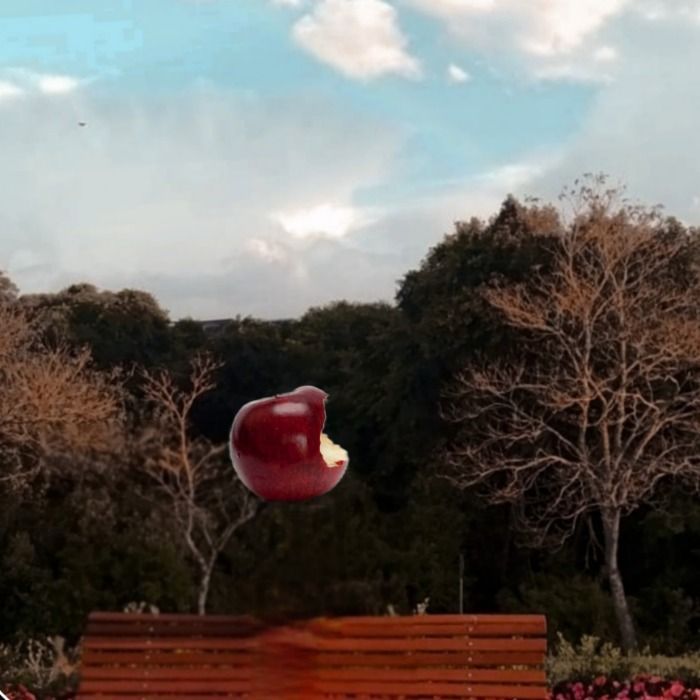 Un fotógrafo tomó una foto de una manzana e internet explotó.