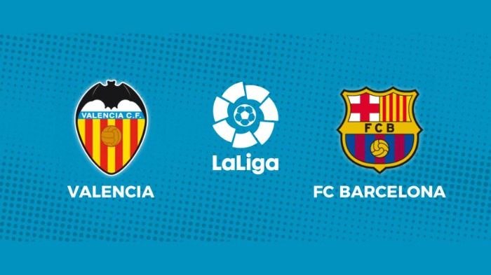 Revisado el partido Valencia-Barcelona