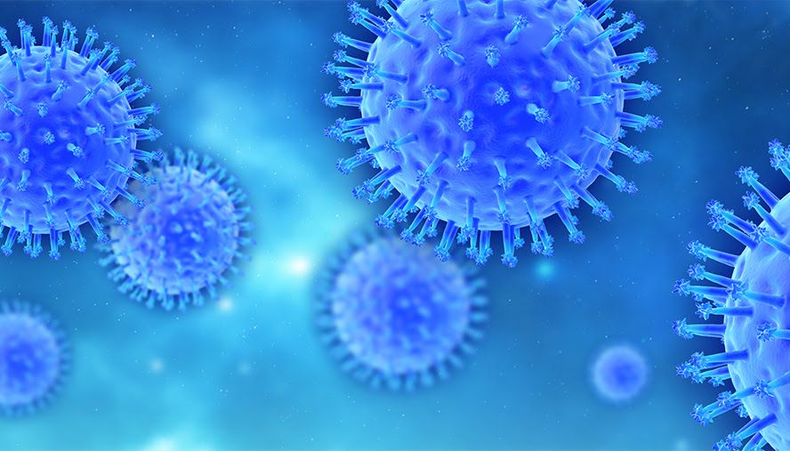 Virus extraño causa inquietud a la OMS