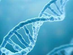 Encuentran ADN de DINOSAURIO en perfecto estado