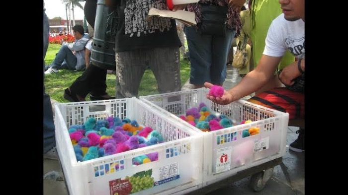 Encuentran niño triki vendiendo pollitos de colores en downtown Vancouver