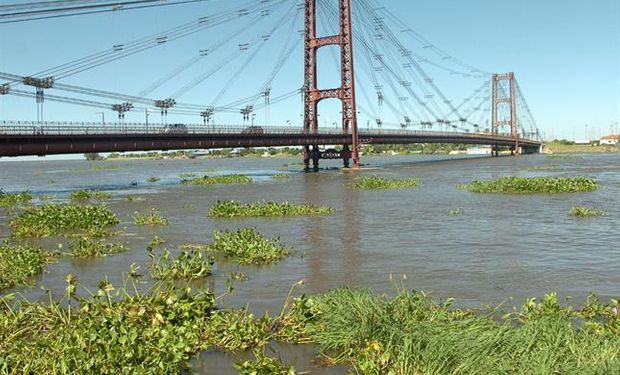 Crecida del Río Paraná pone en alerta al sur de Rosario