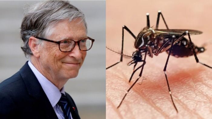Bill Gates propaga mosquitos contagiados por una bacteria de su propia granja en Medellín