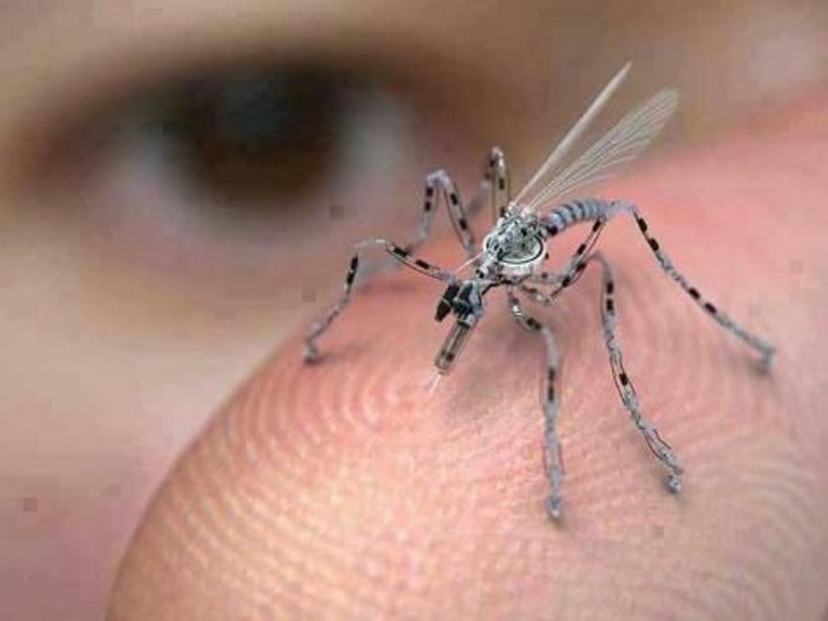 Mosquitos espía para controlar multicuentas en Miravia