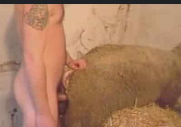 Pillan infraganti un hombre manteniendo relaciones sexuales con una cabra en bigastro