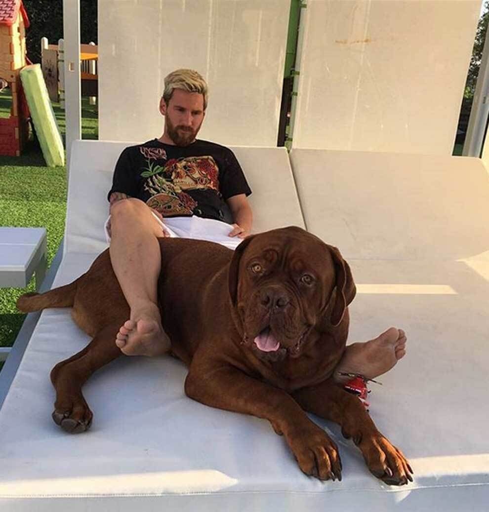 ¿Murió el perro de Messi?