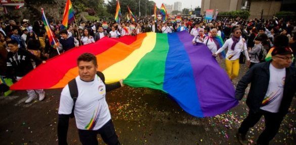 COMUNIDAD LGTBIQ SE UNE A LA MARCHA A FAVOR DE LAS MARCHAS EN CONTRA DEL GOBIERNO DE LA PRESIDENTE DINA BOLUARTE