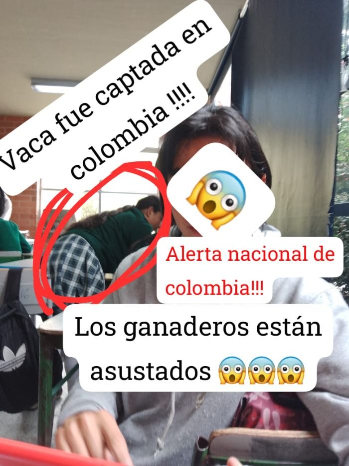 Atención colombia! Vaca fue vista en colegio de Bogotá los ganaderos tienen miedo