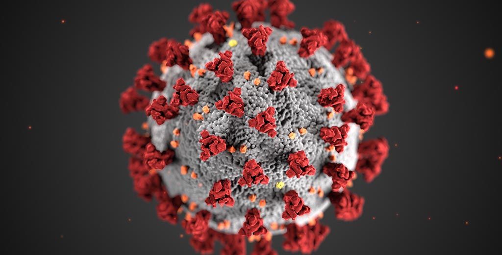ALERTA: Nuevo virus llamado El nanovirus