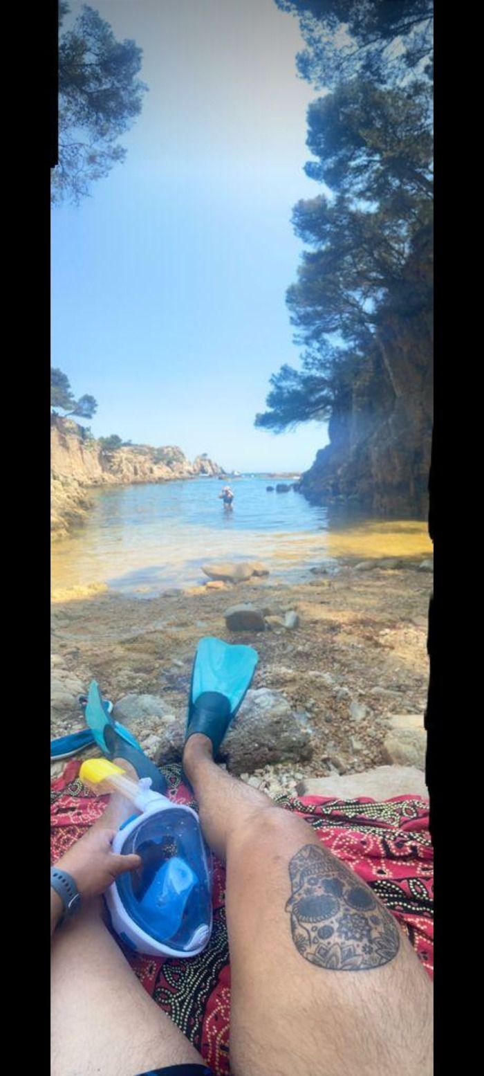Ballena varada en una playa de Catalunya