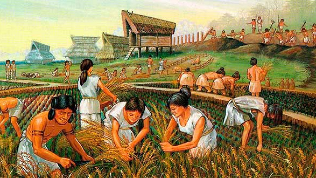 El calendario lunar indica que esta será una gran semana para el cultivo del maíz.