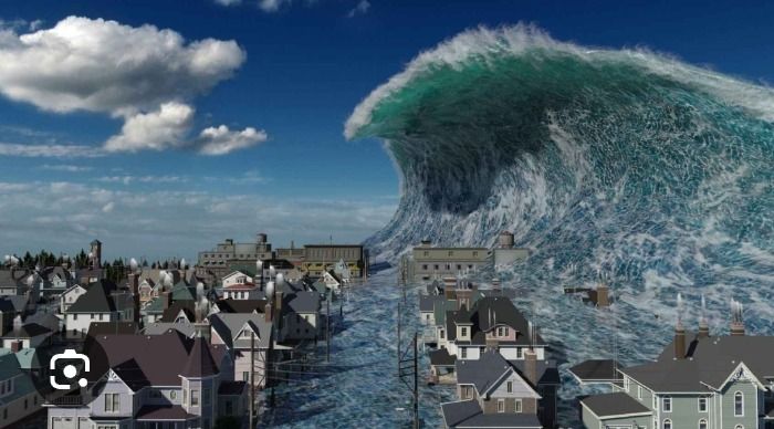 Tsunami posiblemente acudirá hoy a Cádiz