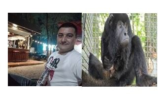 Conmoción en Merlo: un mono apuñaló y mató a un efectivo de la Policía Federal