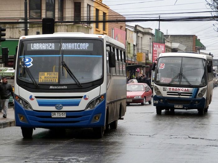 Movilización Urbana en Temuco: El Transporte Público es el Favorito