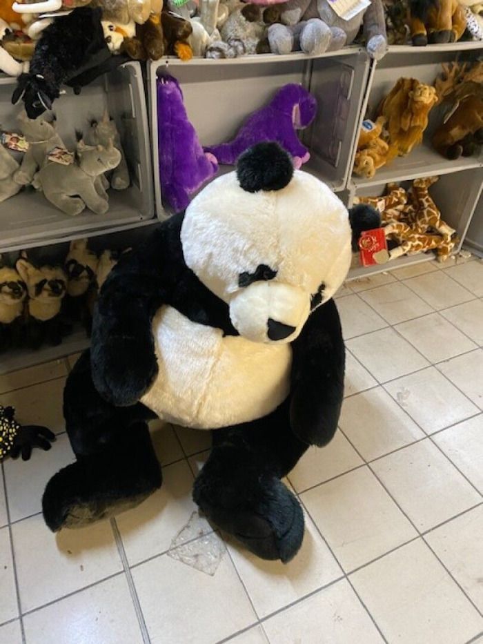 Venta de peluche de oso panda por 500$.