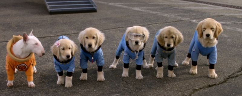 THE FIRST SPACESHIP CREW ONLY BY DOGS