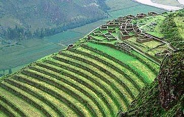 El Inca invertirá en mayor cantidad de pisos ecológicos.
