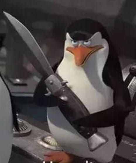 Pingüino se escapa de cárcel de máxima seguridad