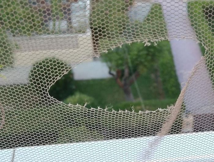 Encontrada mosquitera en terribles condiciones, en el área universitaria de Bormujos