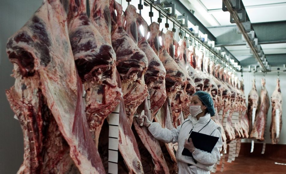 Remesa de carne en mal estado en la comunidad de Castilla y León:cientos de afectados