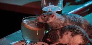 Una rata viva en el restaurante 