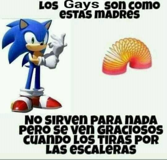 Sonic Es Homofobico