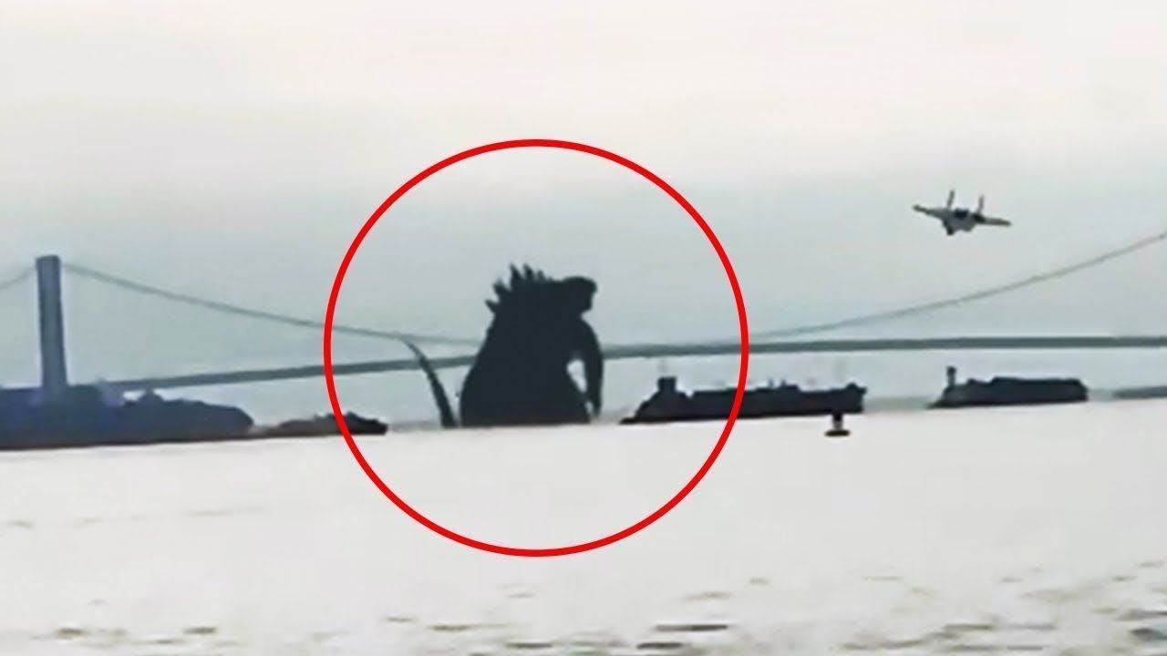 Godzilla aparece en las playas de mexico