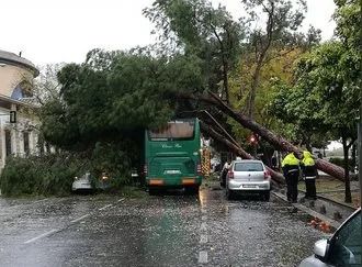 Tornado arruina Semana Santa Sevillana.