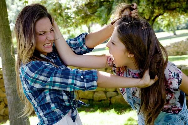Brutal pelea a puñetazos entre dos mujeres y nadie intenta separarlas