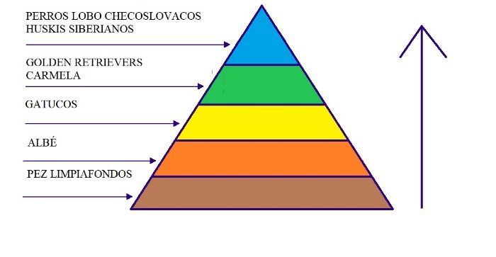 La cantidad de colorinchis de una pirámide es directamente proporcional a su veracidad