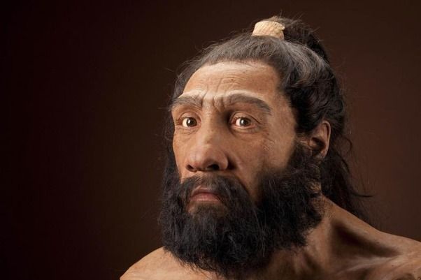 Los neandertales se extinguieron por preguntar demasiado