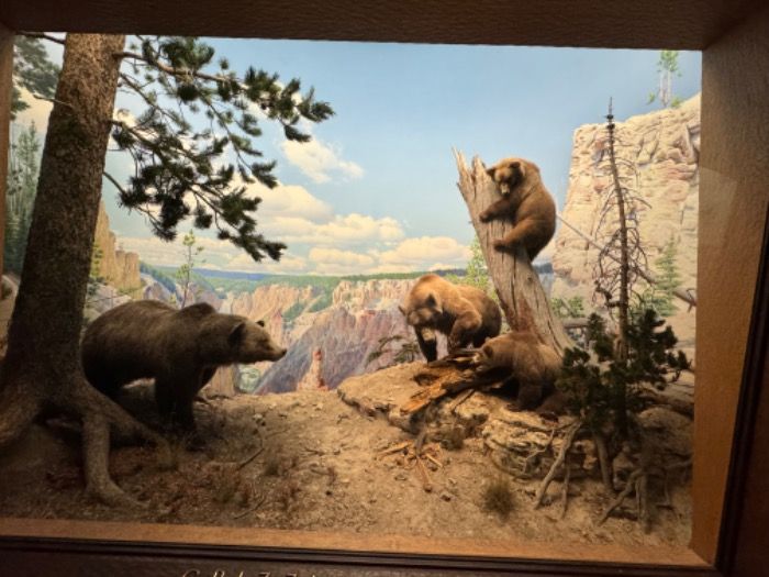 Three Spanish tourist broke a display case at Natural History Museum and got arrested.
