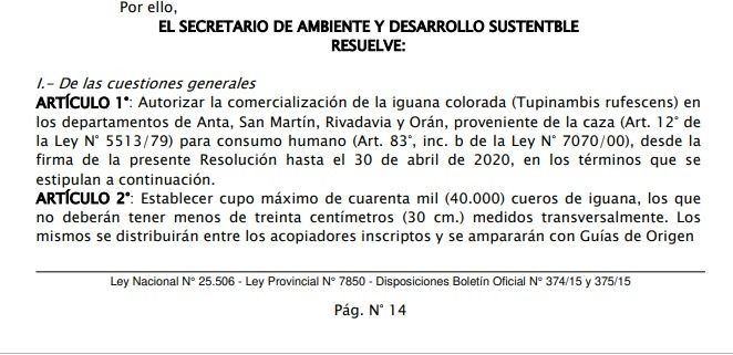 Tucumán: Más de diez mil iguanas devoradas por mes.