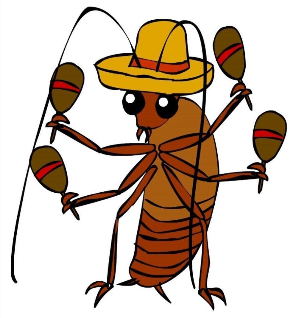 La cucaracha 