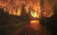 Incendios forestales causados por el cambio climatico