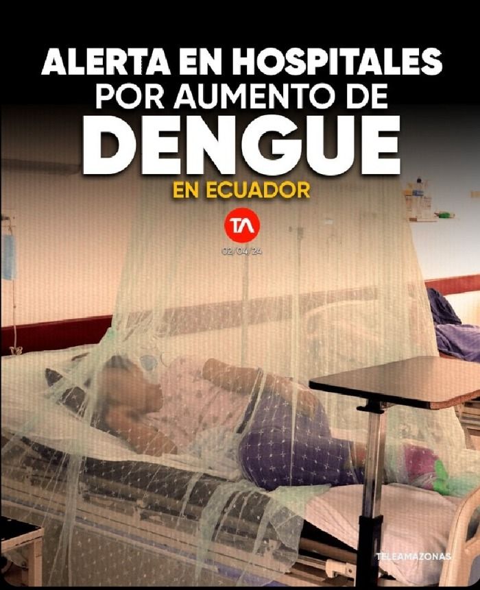 Aumento de casos de dengue ponen en alerta a las salas de emergencias de los hospitales