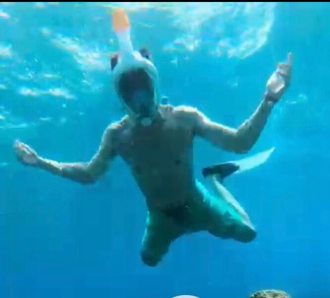 Extraña criatura submarina aterroriza a los turistas de las costas de las maldivas