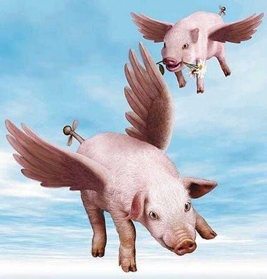 ¡¿Cerdos voladores?!