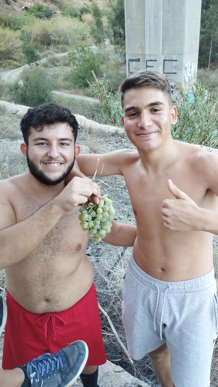 Intoxicados cuatro jovenes Malagueños por ingerir uvas de un árbol perdio de la mano de Dios