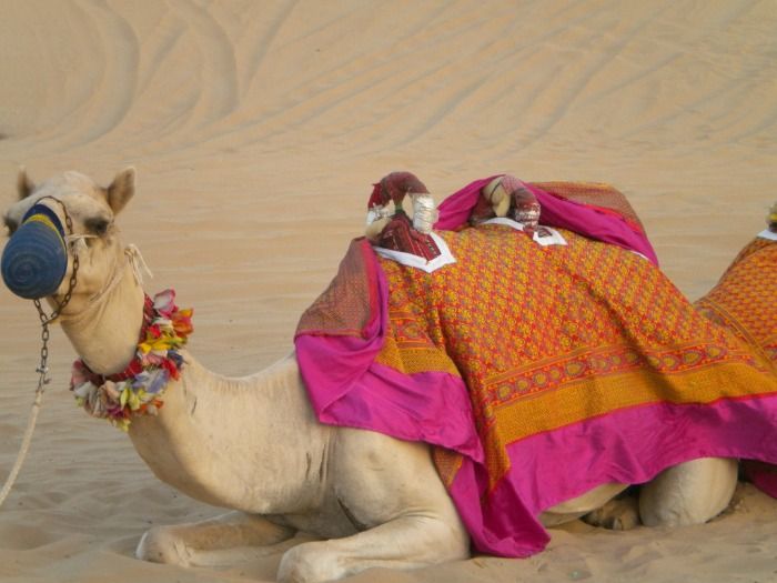 La falta de mascarillas para camellos retrasa algunos regalos.