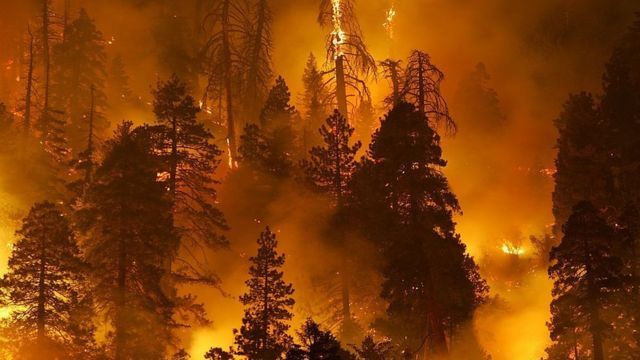 Un hombre de 33 años quema un bosque en Andorra